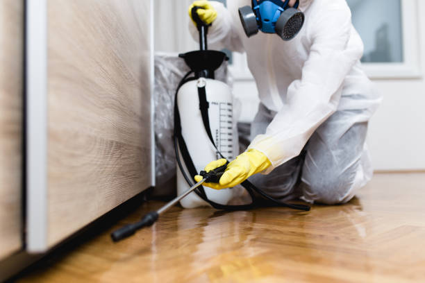 Best Wildlife Control Services  in Rockcreek, OR