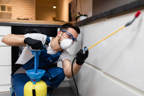 Professional Pest Control in Rockcreek, OR