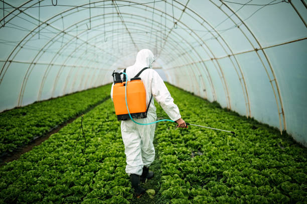 Best Pest Control Near Me  in Rockcreek, OR
