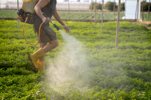 Best Emergency Pest Control  in Rockcreek, OR