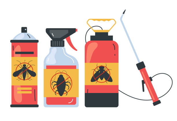 Best Termite Control Services  in Rockcreek, OR