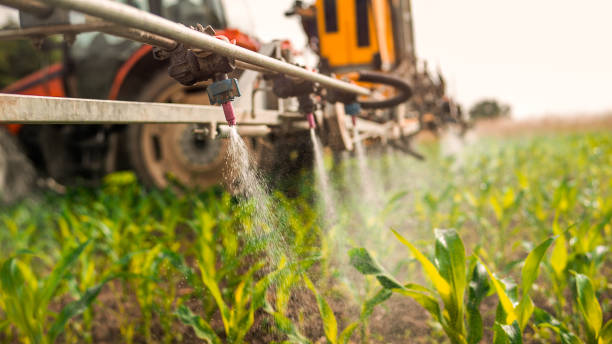 Best Commercial Pest Control Services  in Rockcreek, OR